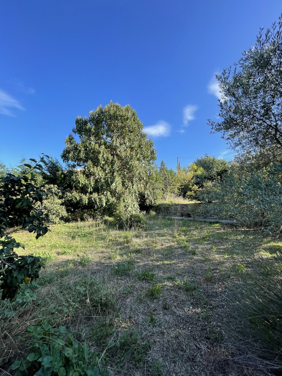 Beau terrain plat